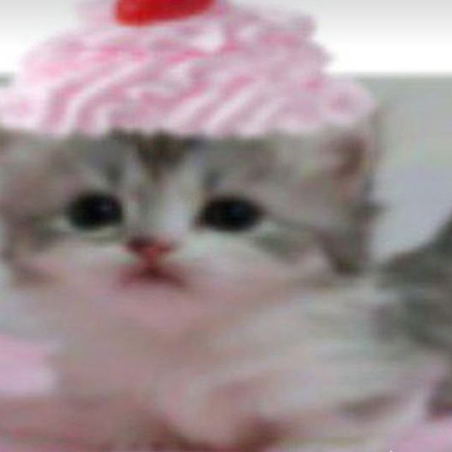 catty wish ෆ