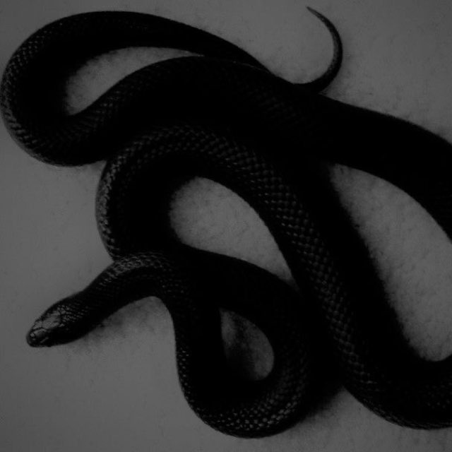 serpentine.
