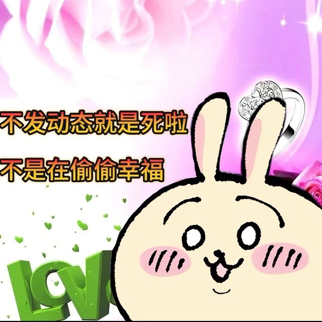 甜崽的双向机器人💕