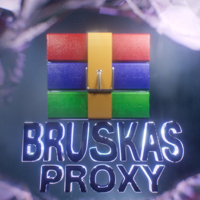 BRUSKAS PROXY