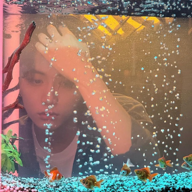 CLOSE ABSEN COMEBACK.