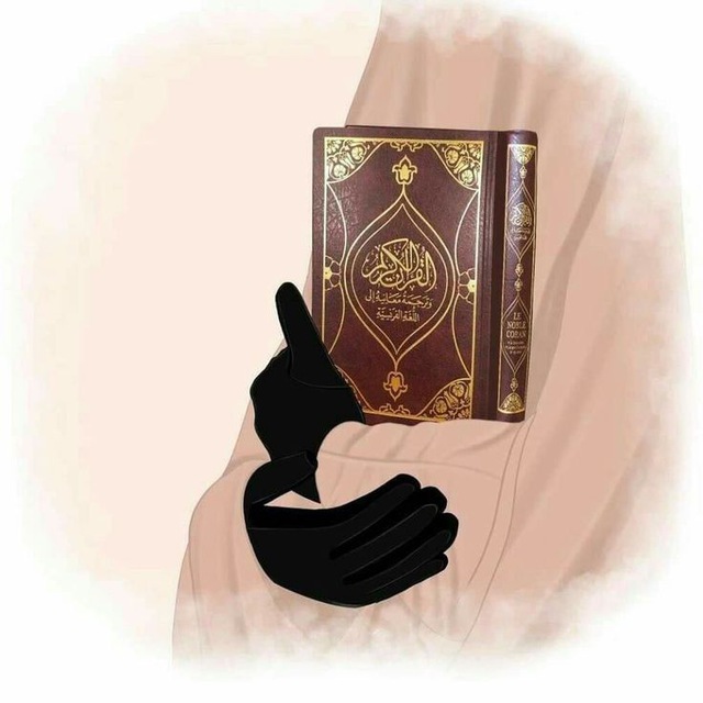 بوت التواصل| تثبيت الأنعام