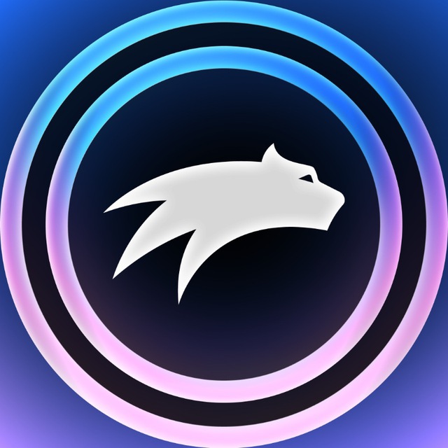 FORSAGE Official Tracker Bot