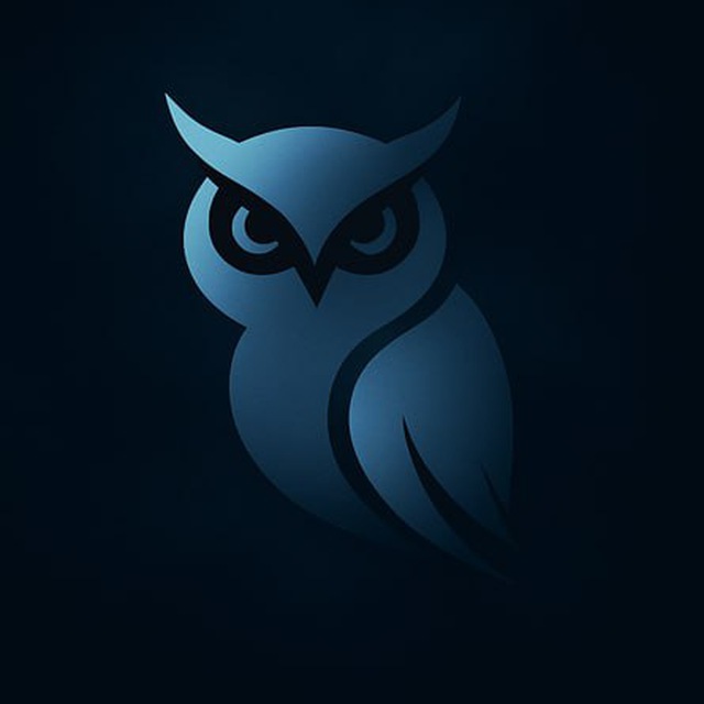 🌐 NebelNet – Secure & Private VPN 🔑