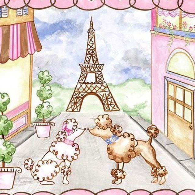🐩🩷🥗📔💭