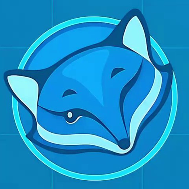 Foxy Proxy | Купить Proxy & VPN