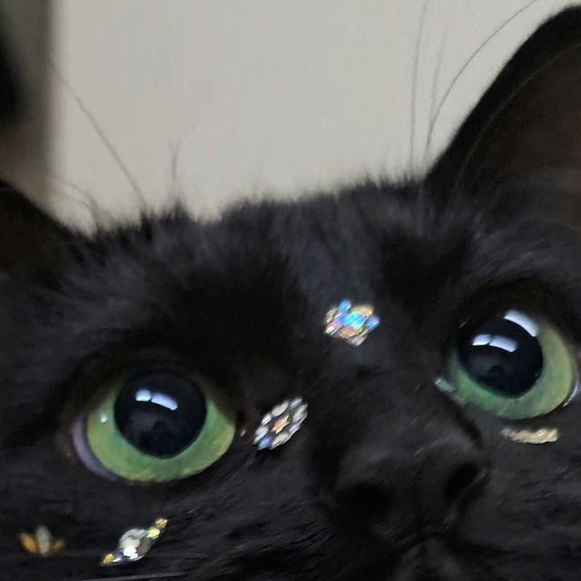 𝖱'𝗌 𝖠𝗇𝗈𝗇