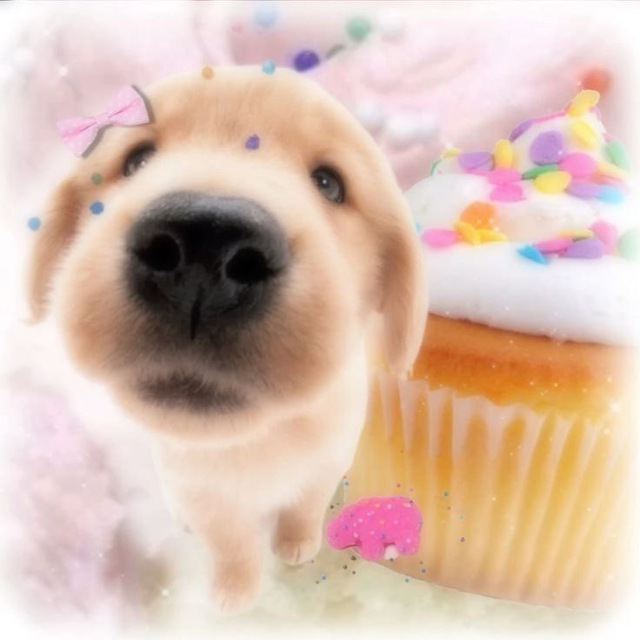 ЖЮ Joca kah(?.)👚🐹