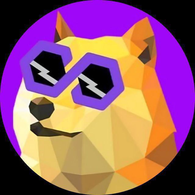 PolyDoge Autopay Airdrop