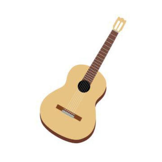 Гитара Брест