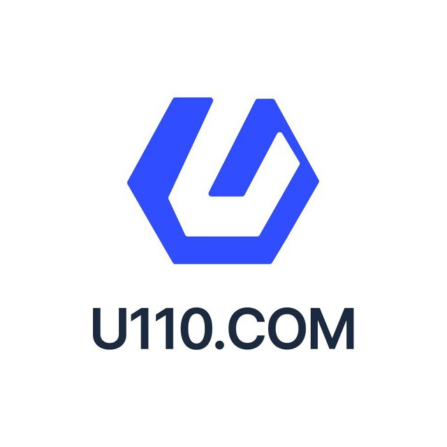 U110 黑U检测助手