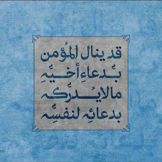 بوت الإستفسار