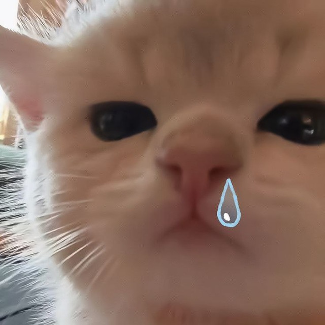 ૮ ๑ˊᯅˋ๑ ა