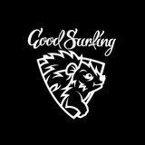 Goodsurfing Академия