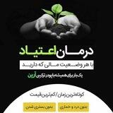 گروه مشاورین آریایی