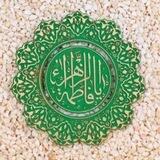 ربات گروه جهادی فاطمه الزهراء بیرجند