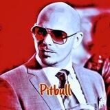 Pitbull Musics