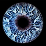 Ophthalmology