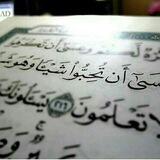 بوت خيرة فاطمه الزهراء (ع)