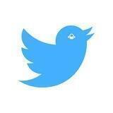 Twitter Media Downloader