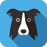 牧羊犬