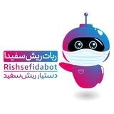 ربات ریش سفید