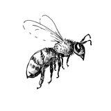 Tag Channel Bot