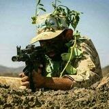 استقبال القناه