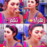 بوت تصاميم جاهزه🌻♥️