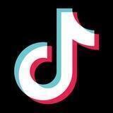 TikTok Downloader
