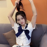 小小晨