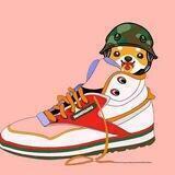 Step Doge Airdrop