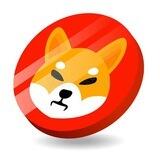 Shiba Inu Airdrop 🎁