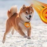 SHIB || Giveaway Airdrop Bot 🔥