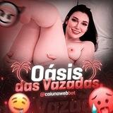 BOT - Oásis das Vazadas
