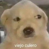 Poriro
