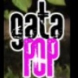 Acesso ao Vip GataPop 🤪