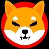 Free Shiba Inu 🐶