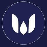Warden Airdrop