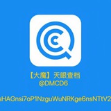 大魔天眼查档🧑‍💻负责人