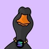 Duck Coin Presale
