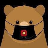 Bear instagram