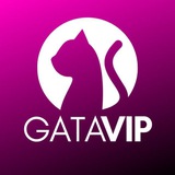 GATA VIP - CABARÉ SECRETO 🔞