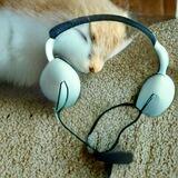 Que música é essa?