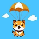 Baby Doge Coin Airdrop 🎉