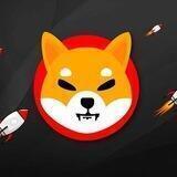SHIB Instant Airdrop 🎁