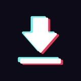 TikTok Downloader