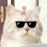 小佳部长预约双向机器人