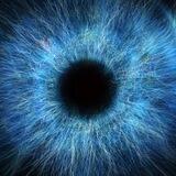 THE BIG EYE