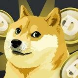 Catapult doge bot 🐶